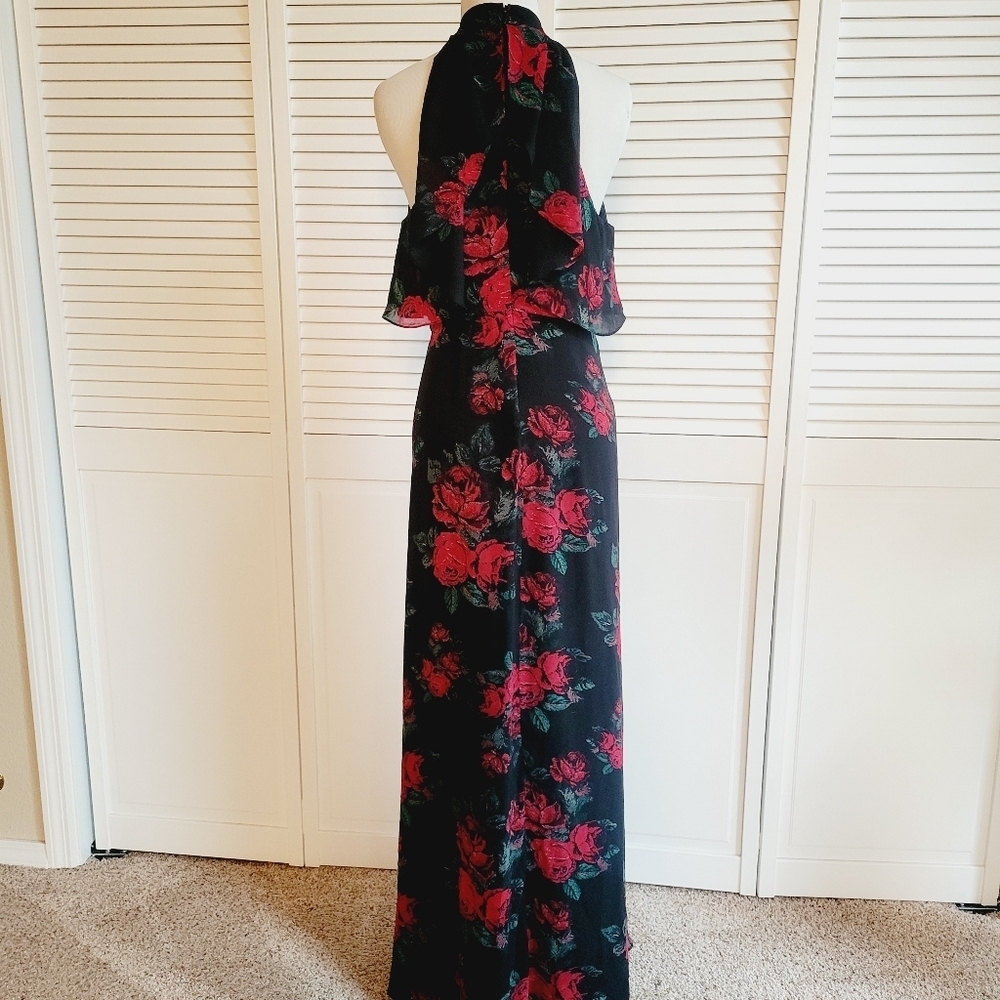 Lovers +Friends Maxi - Picture 3 of 6